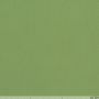 Nano- Softshell Lime