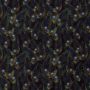 Texture kleine pauwenveren op zwart