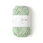 Ricorumi katoengaren mint 25gr #041