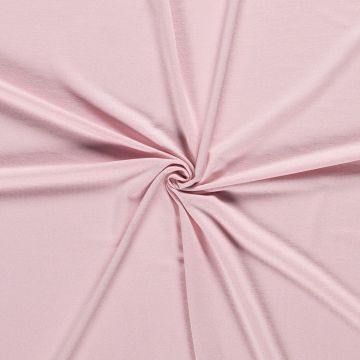 Jersey Quality baby rose