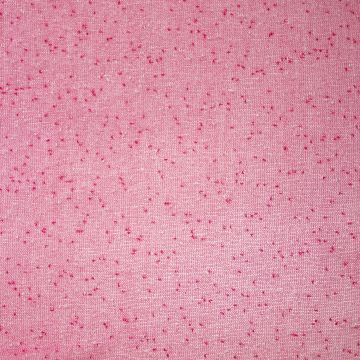 Rebecca breisel fuchsia