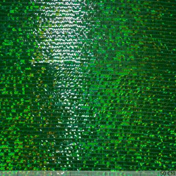 Couture voile paillette groen