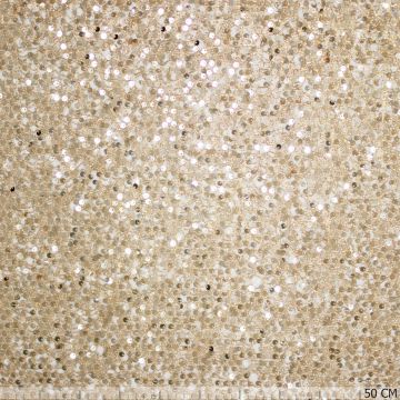 Pailletten kant shiny web goud