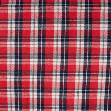 Flanel ruit geruwd rood blauw