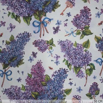 Panama hortensia paars