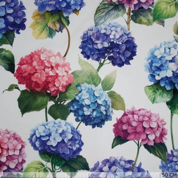 Keper katoen hortensia