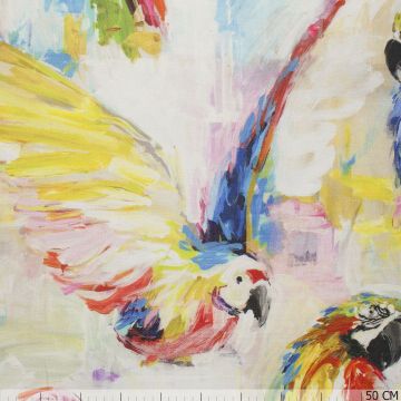 Parroit Macaw Tropical