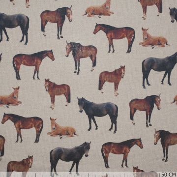 Horses