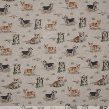 Corgi Dogs