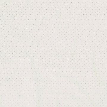 Poplin Silver Print Little Dot