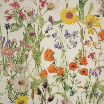 Digital Cotton weidebloemen