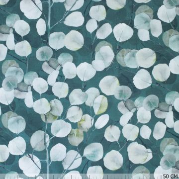 Panama eucalyptus