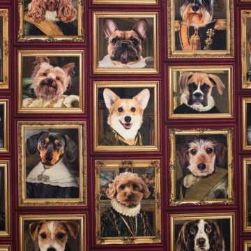 Royal Dog Cotton