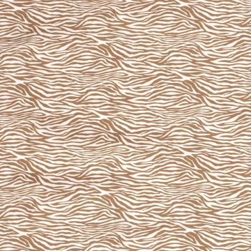 Bengaline zebra wit-beige