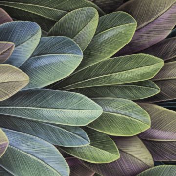 Tropical feathers velours
