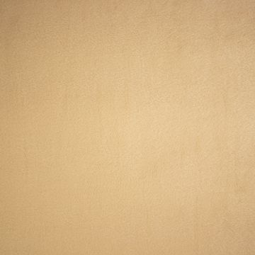 Polar Fleece camel