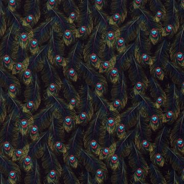 Texture kleine pauwenveren op zwart