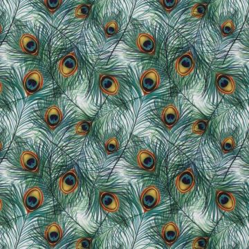 Texture pauwenveren op wit