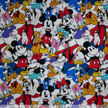 Jersey Disney Mickey Mouse and friends