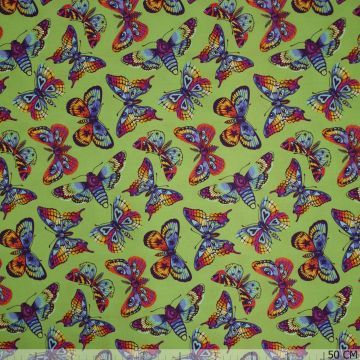 Tula Pink Butterfly Kisses Daydreamer AC