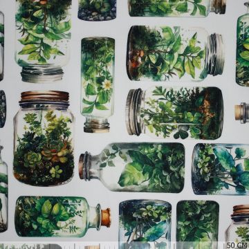Panama terrarium