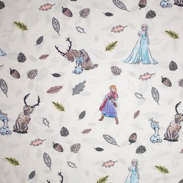 Jersey Disney Frozen herfst