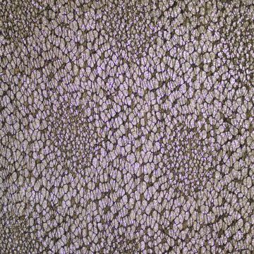 Glitter web zilver