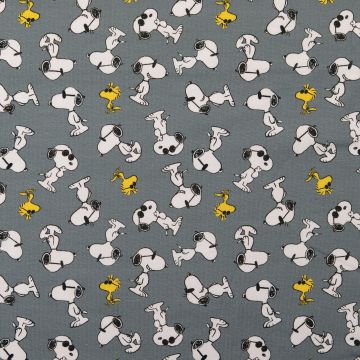 Jersey Peanuts Snoopy grijs
