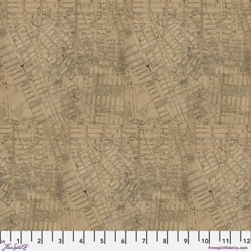 Free Spirit Neutral Map Canvas