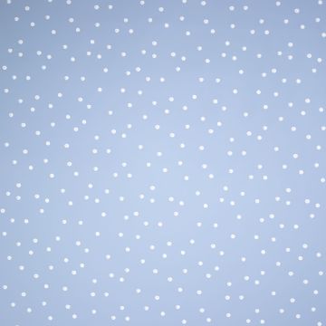 Raincoat print dots blauw
