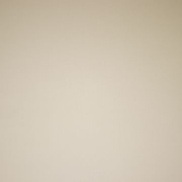 Poplin tencel finish beige