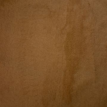 Bont camel