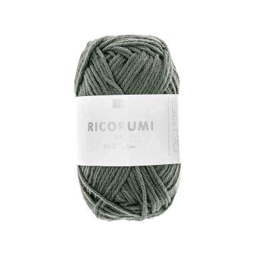 Ricorumi katoengaren leisteen 25gr #080