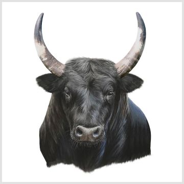 Skai Paneel Bull 44x44cm