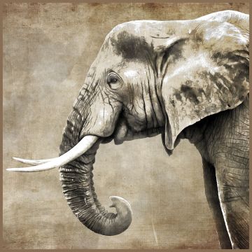 Skai Paneel Elephant 44x44cm