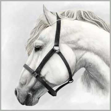 Skai Paneel White Horse 44x44cm
