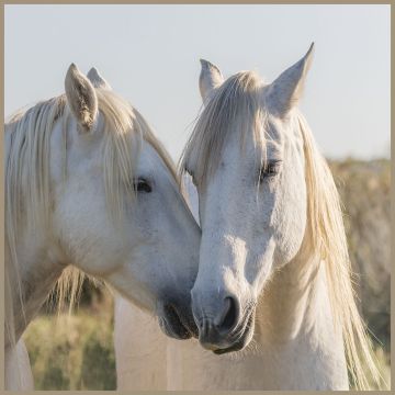Skai Paneel Camargue 44x44cm