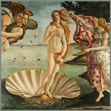 Skai Paneel Venus 44x44cm