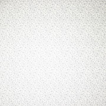 Katoen poplin stars all-over grijs
