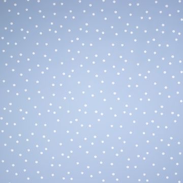 Raincoat print dots blauw