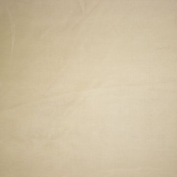 Silk Organza Camel