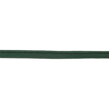 Paspelband T2 10mm groen #068