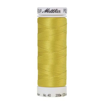 Polysheen borduurgaren, 200m, Kleur 0221