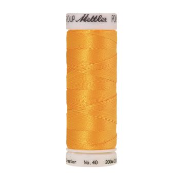 Polysheen borduurgaren, 200m, Kleur 0700