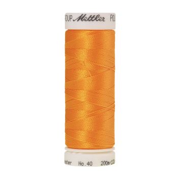 Polysheen borduurgaren, 200m, Kleur 0800