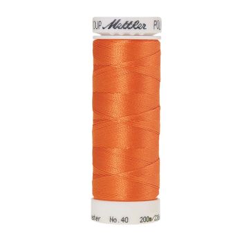 Polysheen borduurgaren, 200m, Kleur 1220