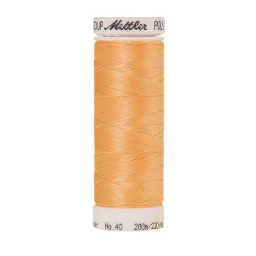 Polysheen borduurgaren, 200m, Kleur 1362