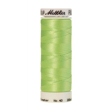 Polysheen borduurgaren, 200m, Kleur 5740