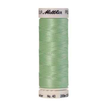 Polysheen borduurgaren, 200m, Kleur 5770