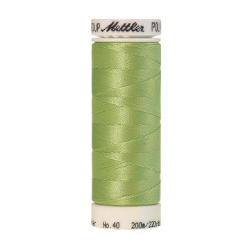 Polysheen borduurgaren, 200m, Kleur 6051